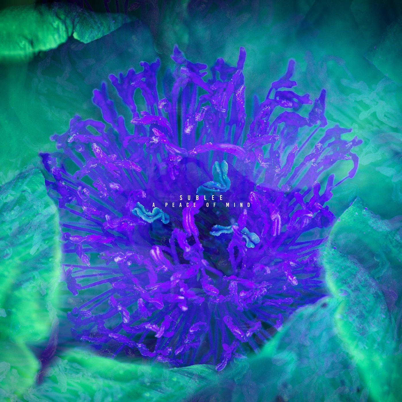 Deep House preview 5