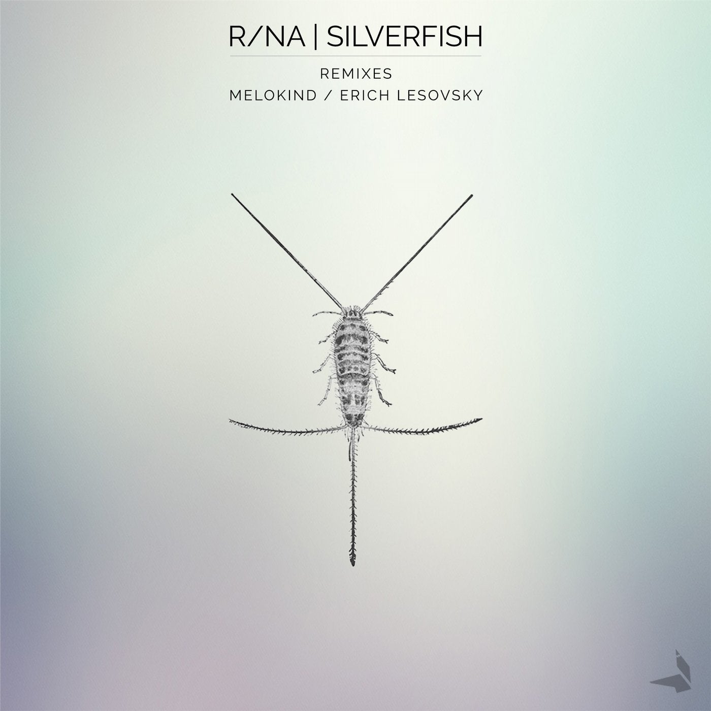 Silverfish