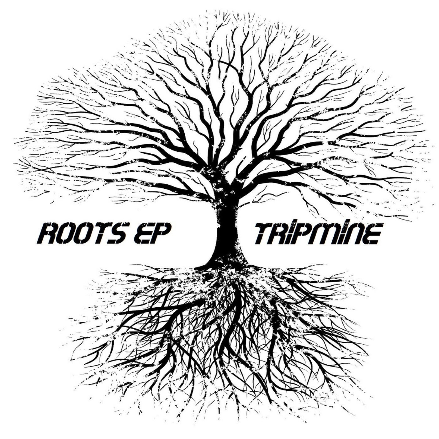 Roots