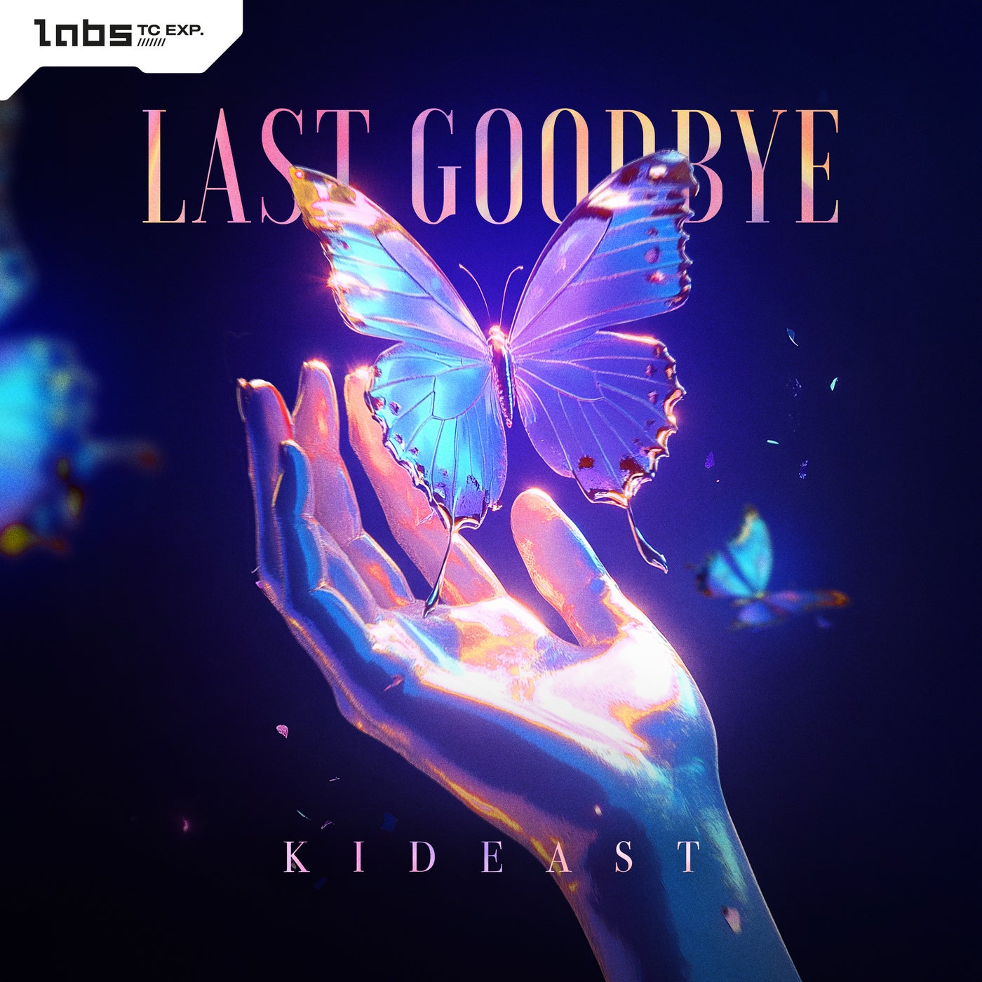 Last Goodbye - Pro Mix