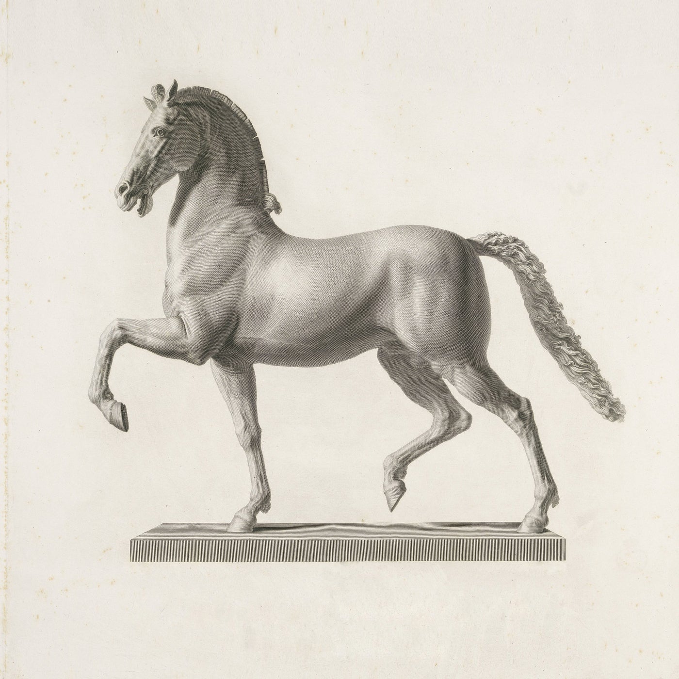 Cover art for The Sequel