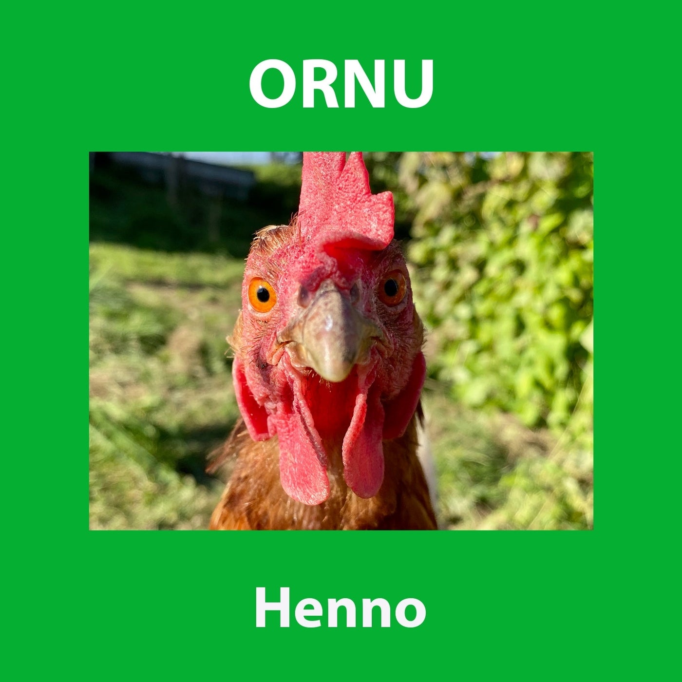 Henno