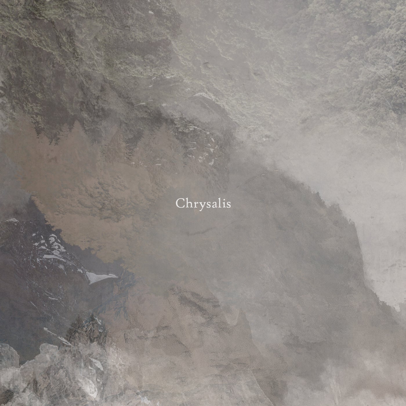 Chrysalis