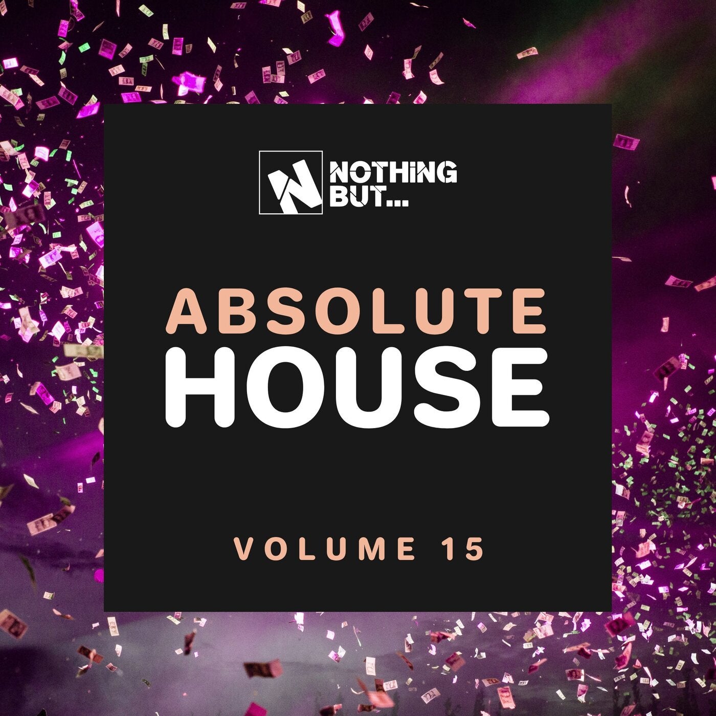 Nothing But... Absolute House, Vol. 15
