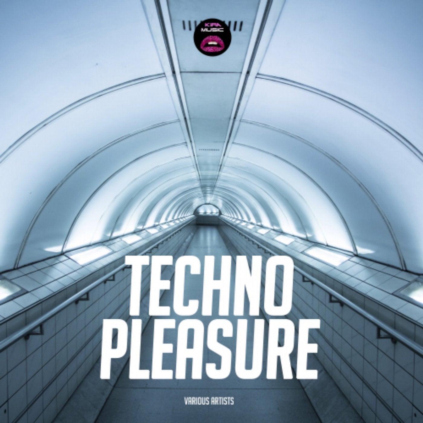 Techno Pleasure