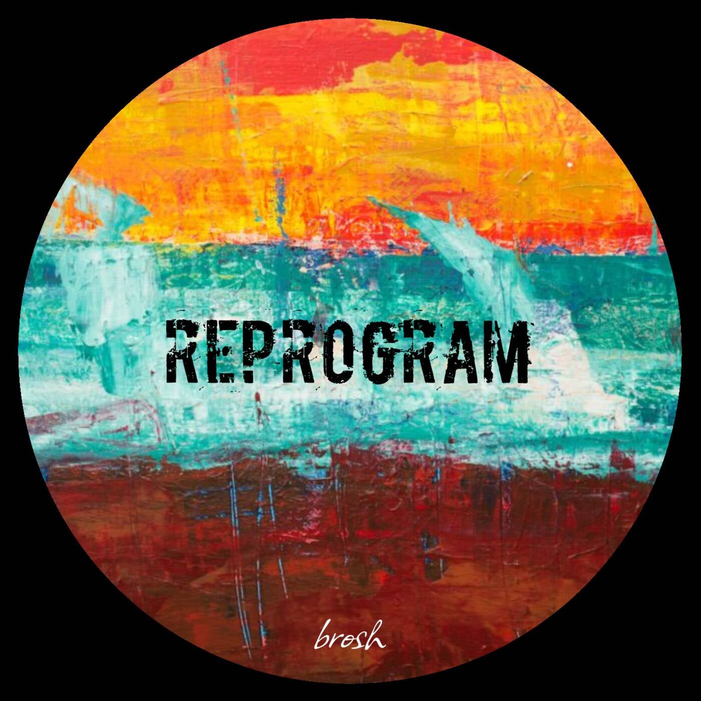 Reprogram