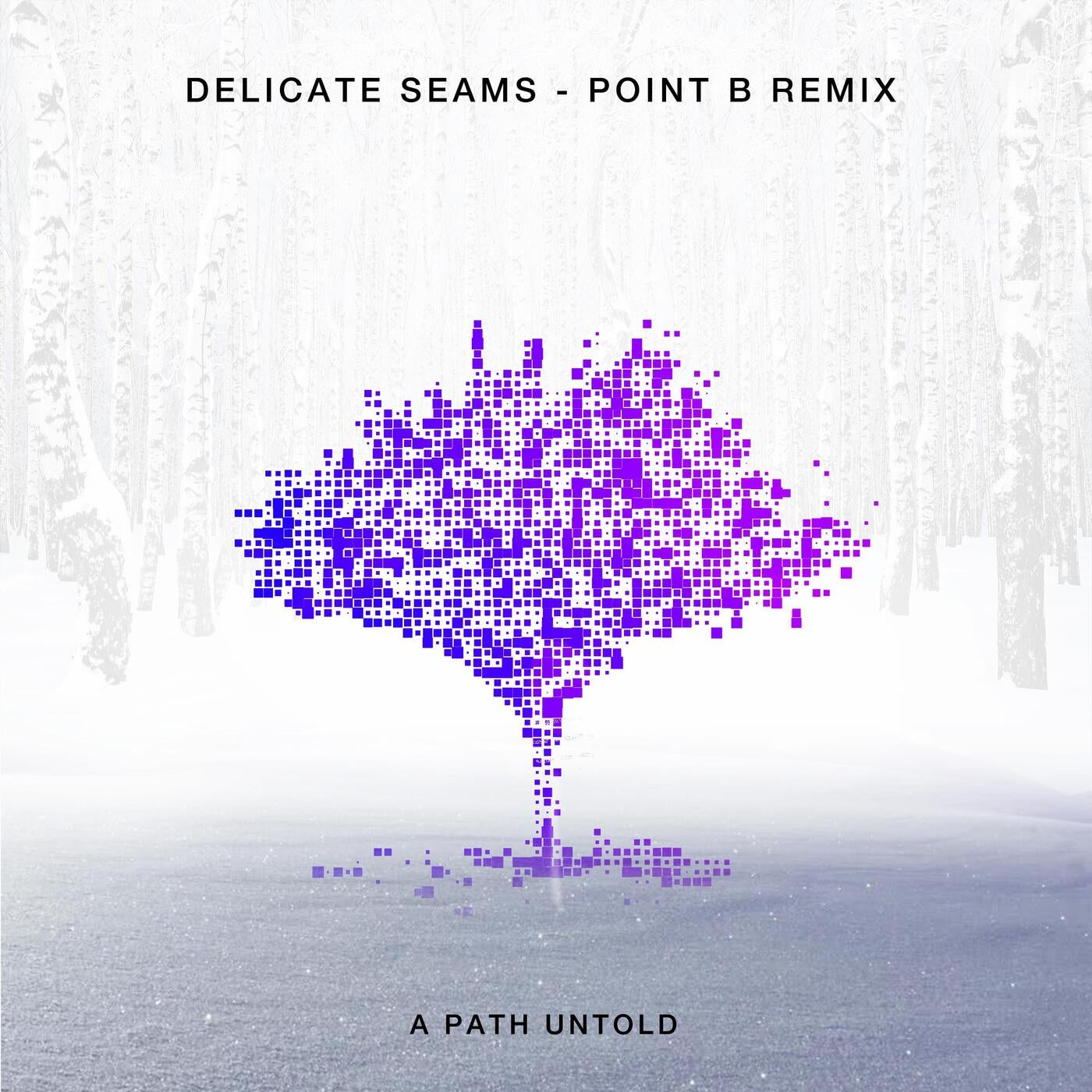 Delicate Seams (Point B Remix)