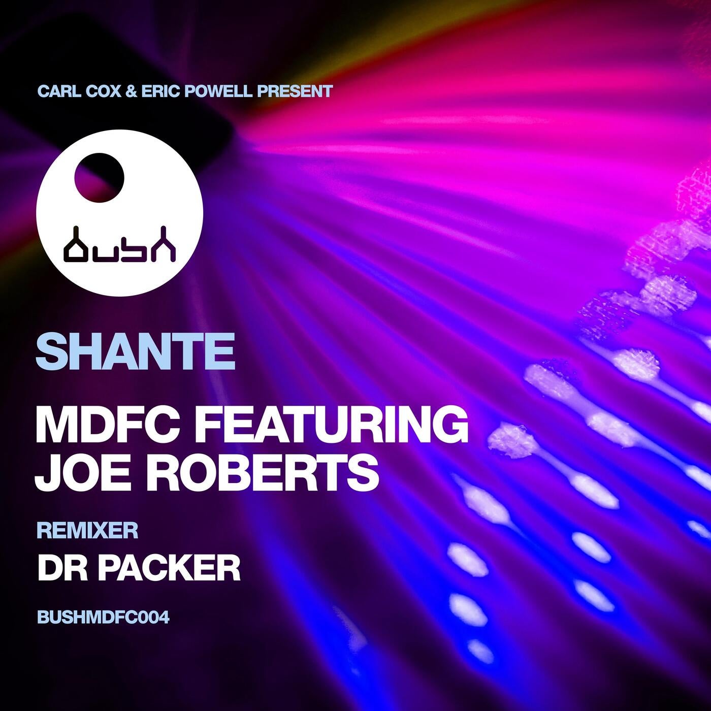 Shante (feat. Joe Roberts)