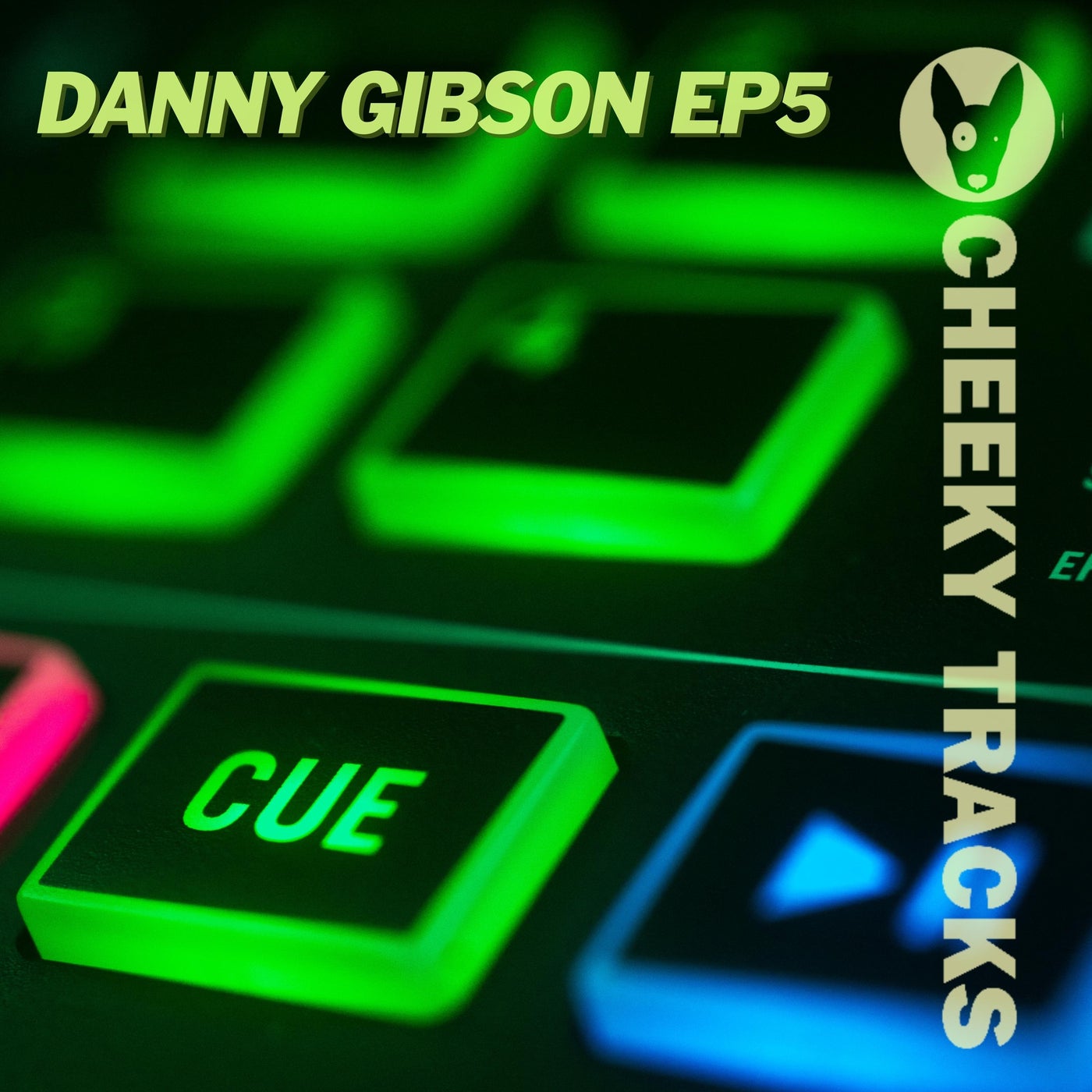 Danny Gibson EP5