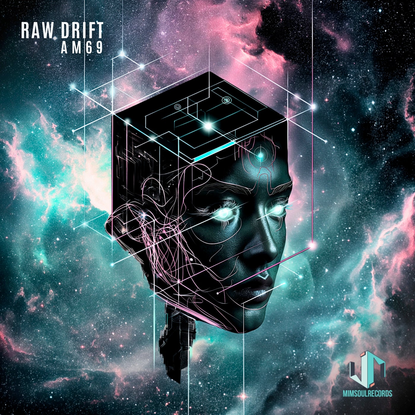 Cover art for Raw Drift