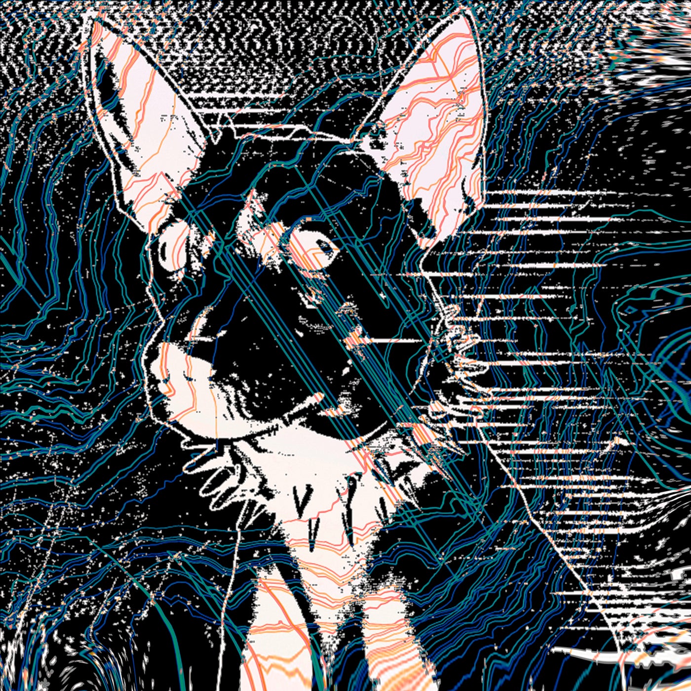 PERRO RAVEROSO REMIXES