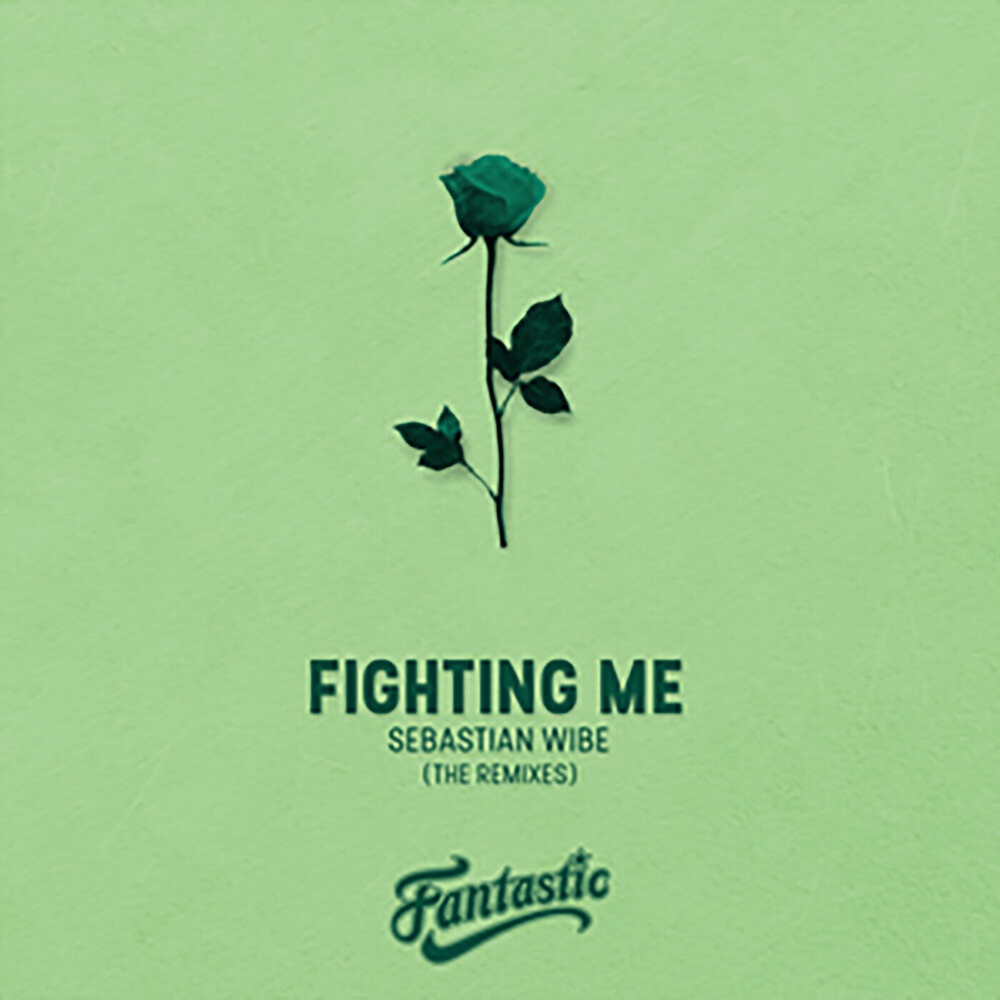 Fighting Me (Remixes)