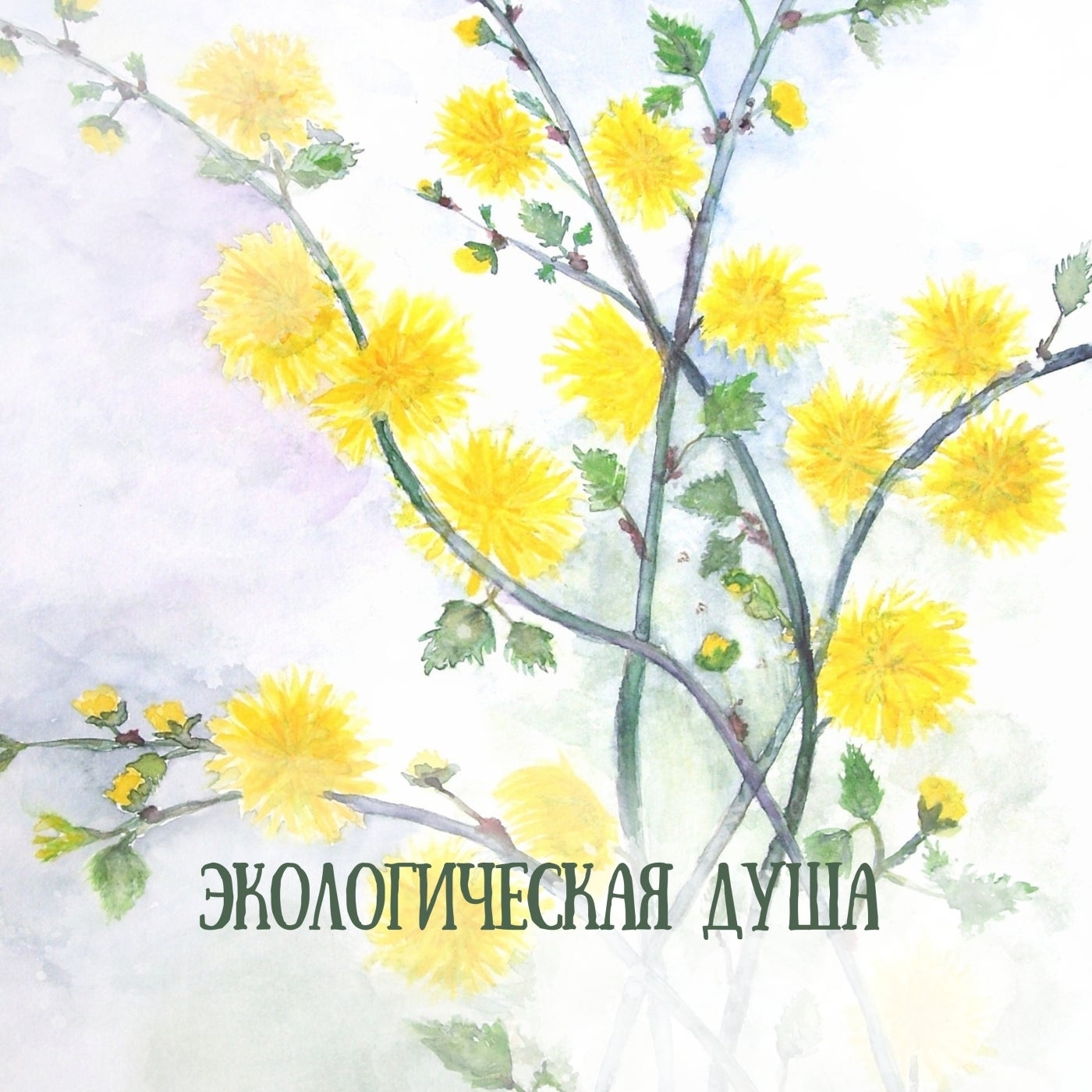 Экологическая Душа