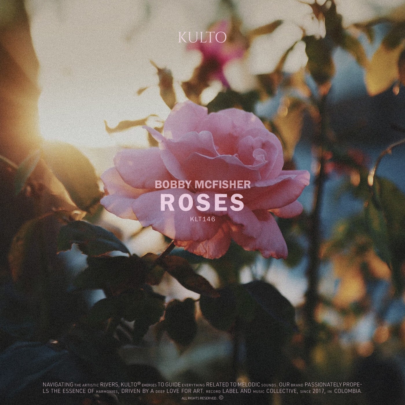 Roses