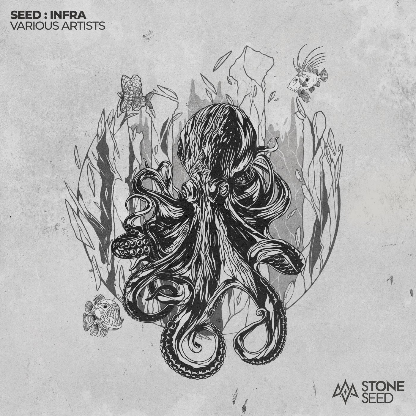 SEED : INFRA