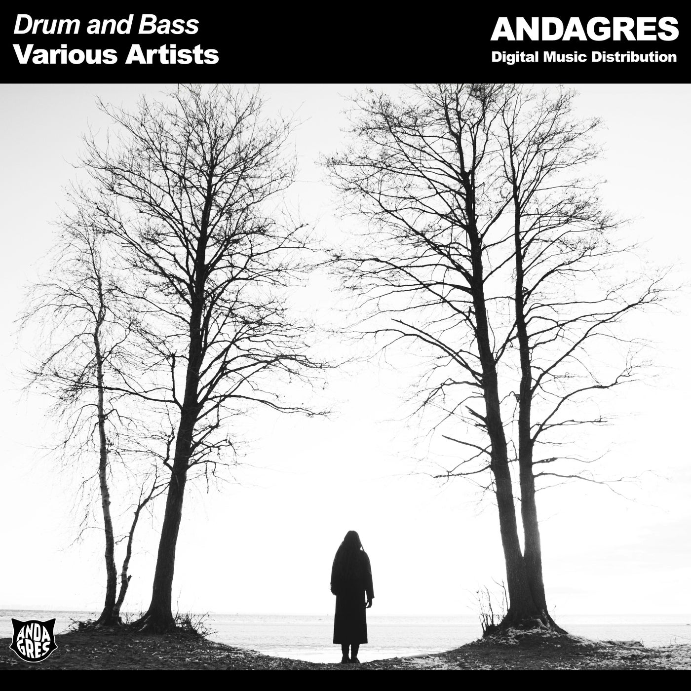 Drum and Bass