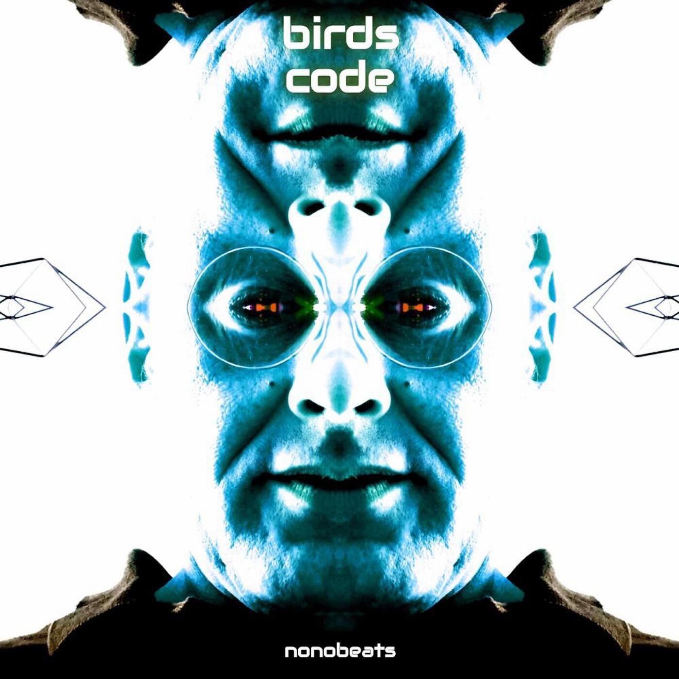 birds code