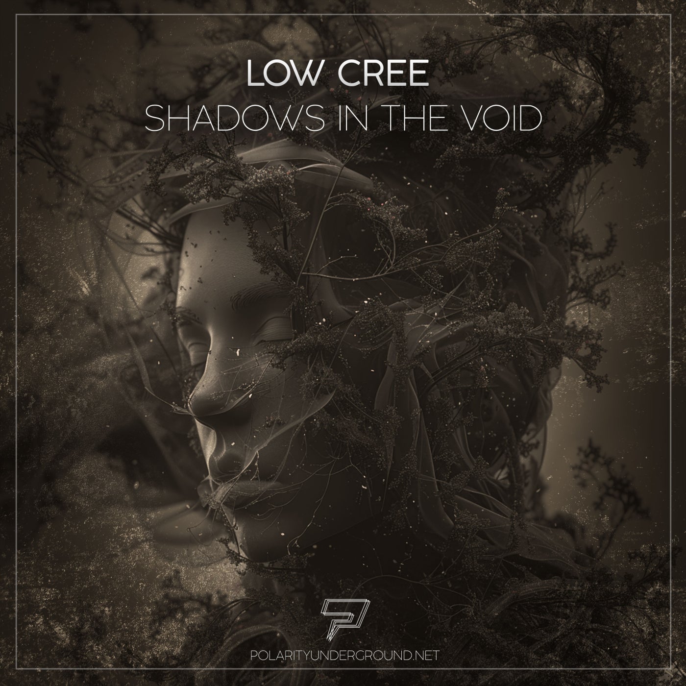 Shadows in the Void