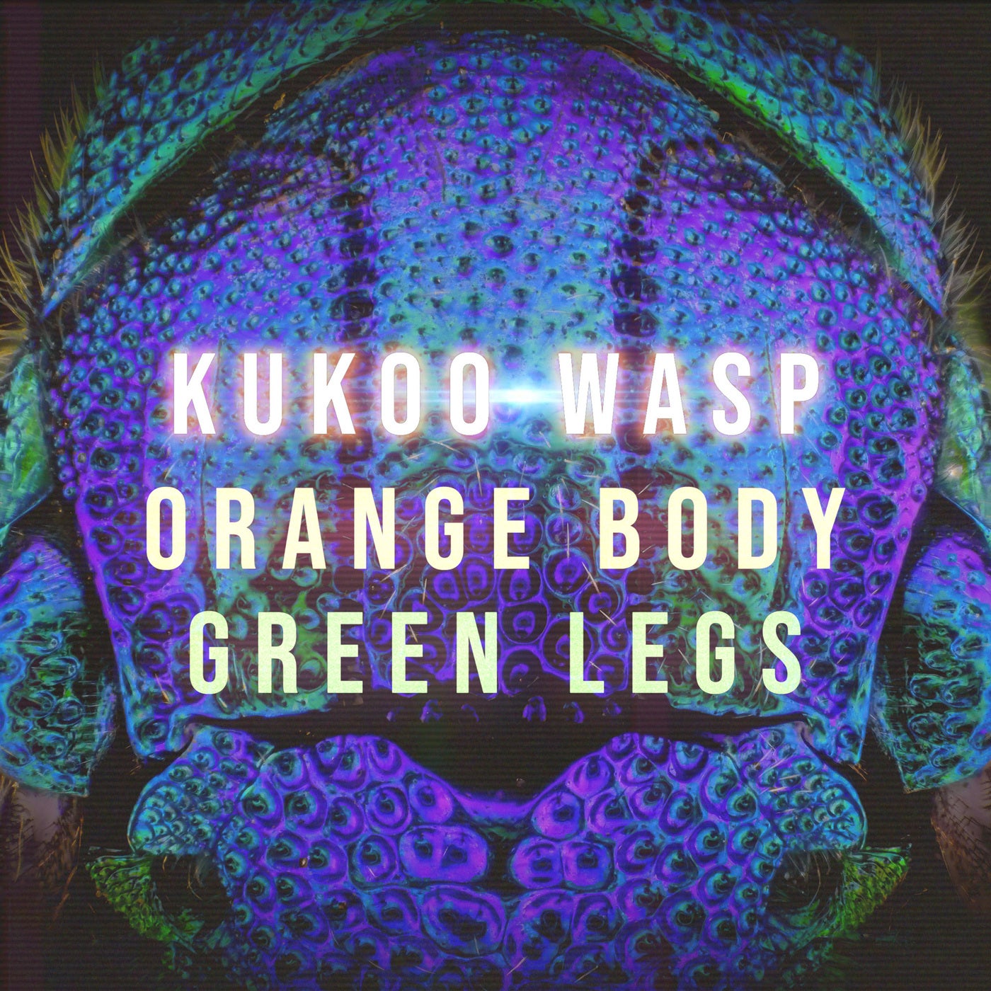 Orange Body Green Legs