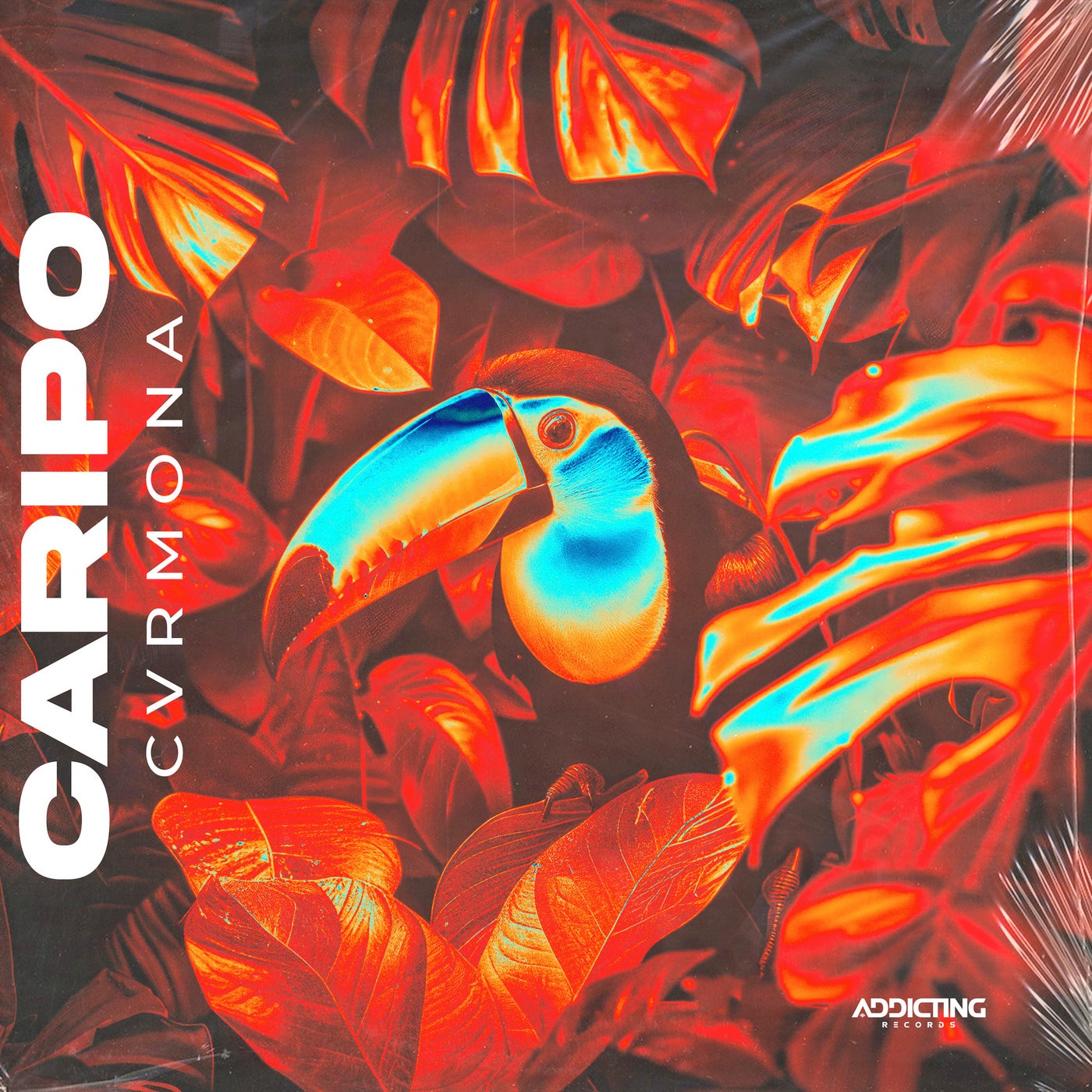 Caripo