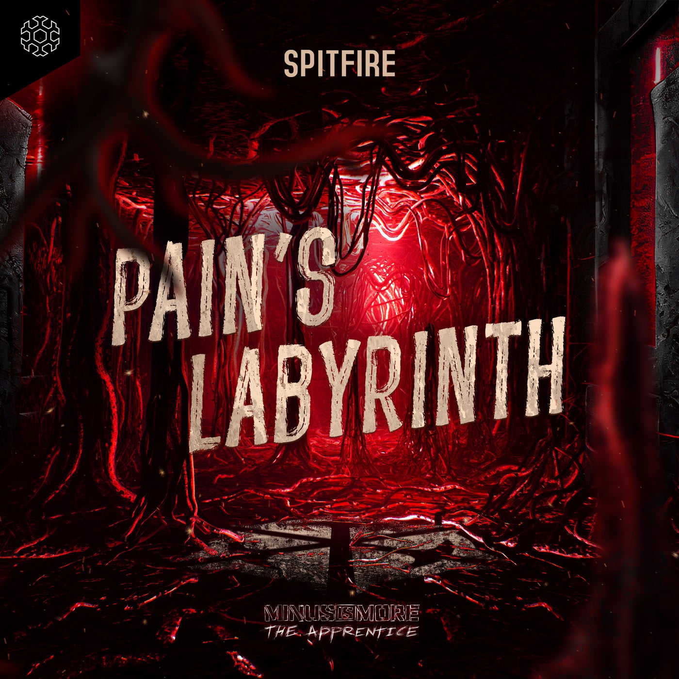 Pain's Labyrinth - Extended Mix