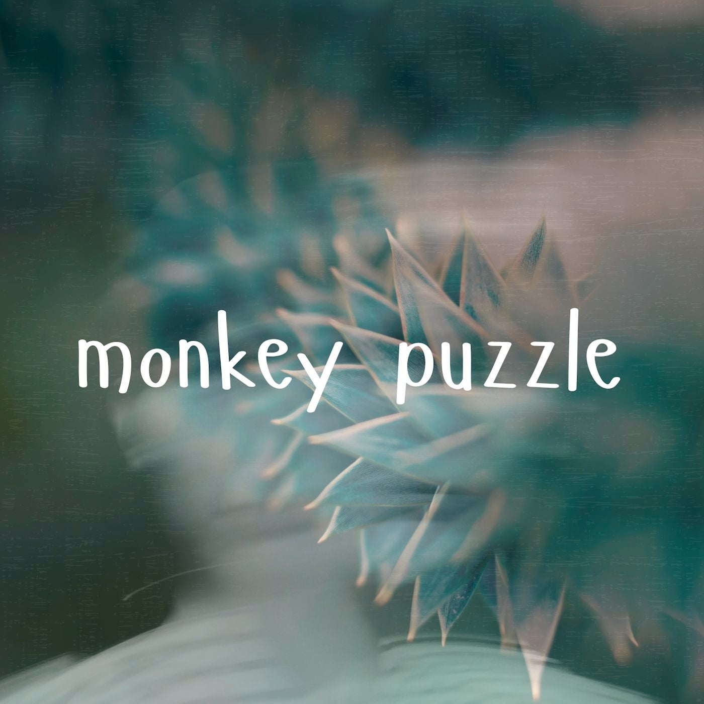 Monkey Puzzle