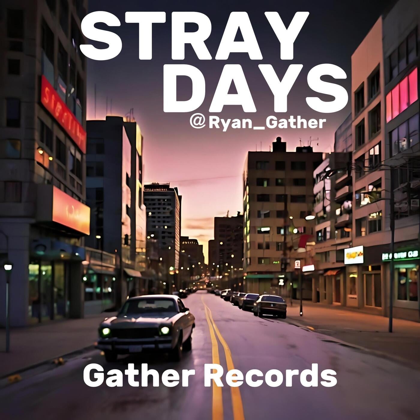 STRAY DAYS