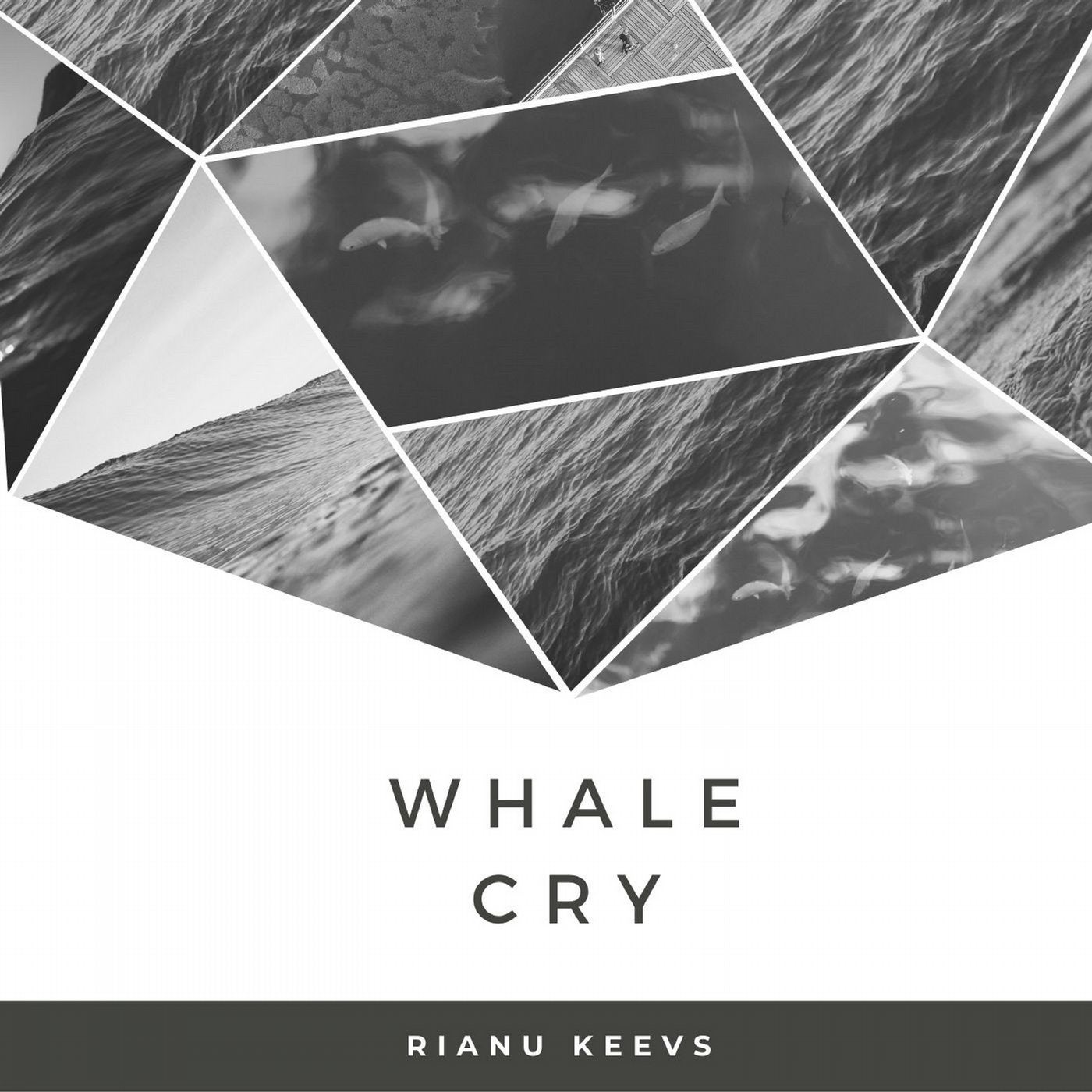 Whale cry