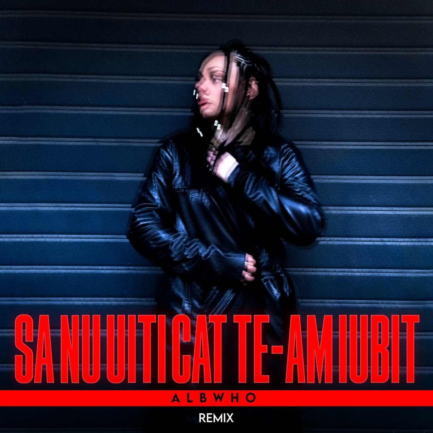 Să nu uiți cât te-am iubit (Remix)
