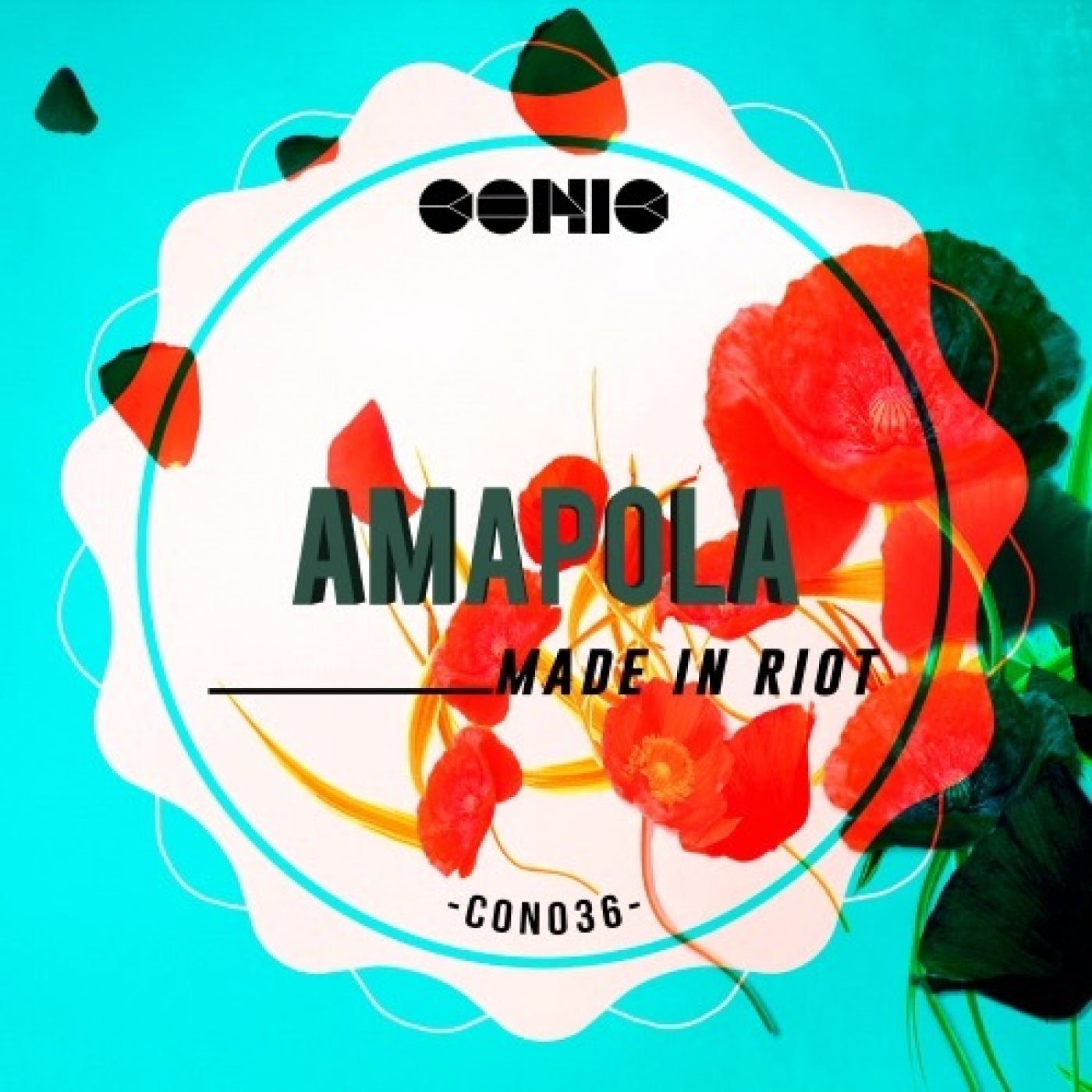 Amapola