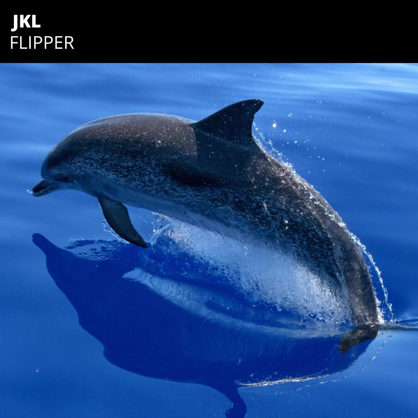 Cover art for Flipper