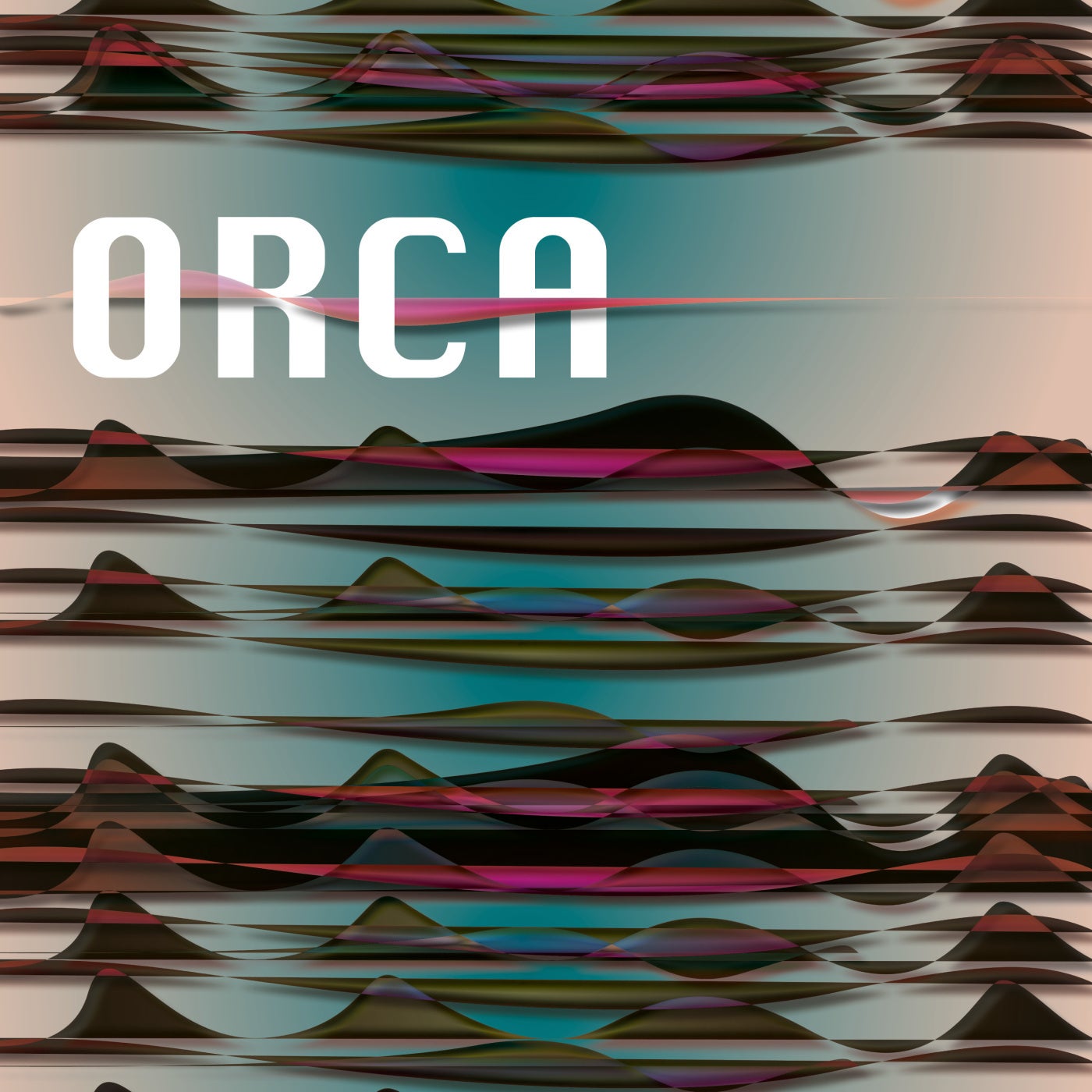 Orca