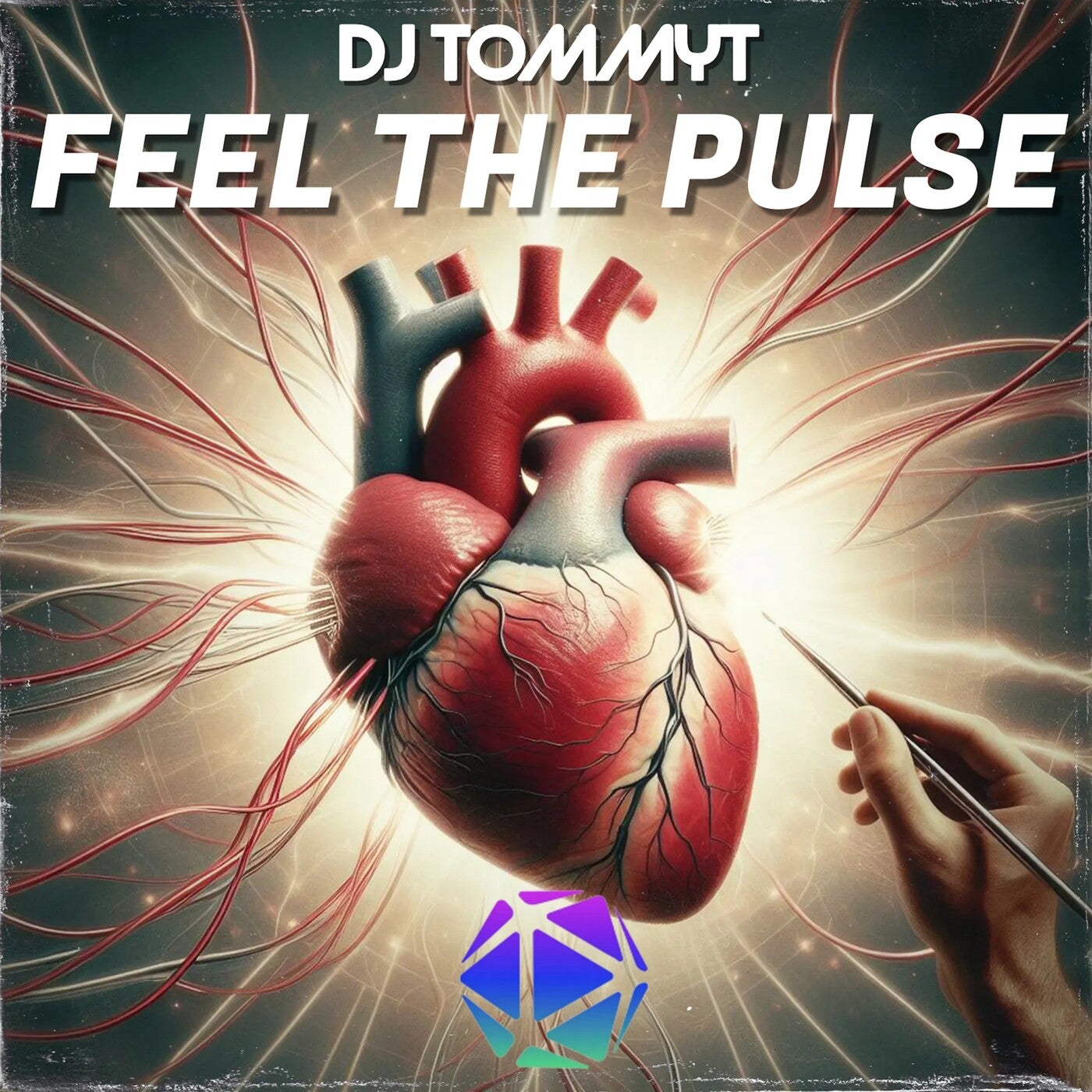 Feel the Pulse