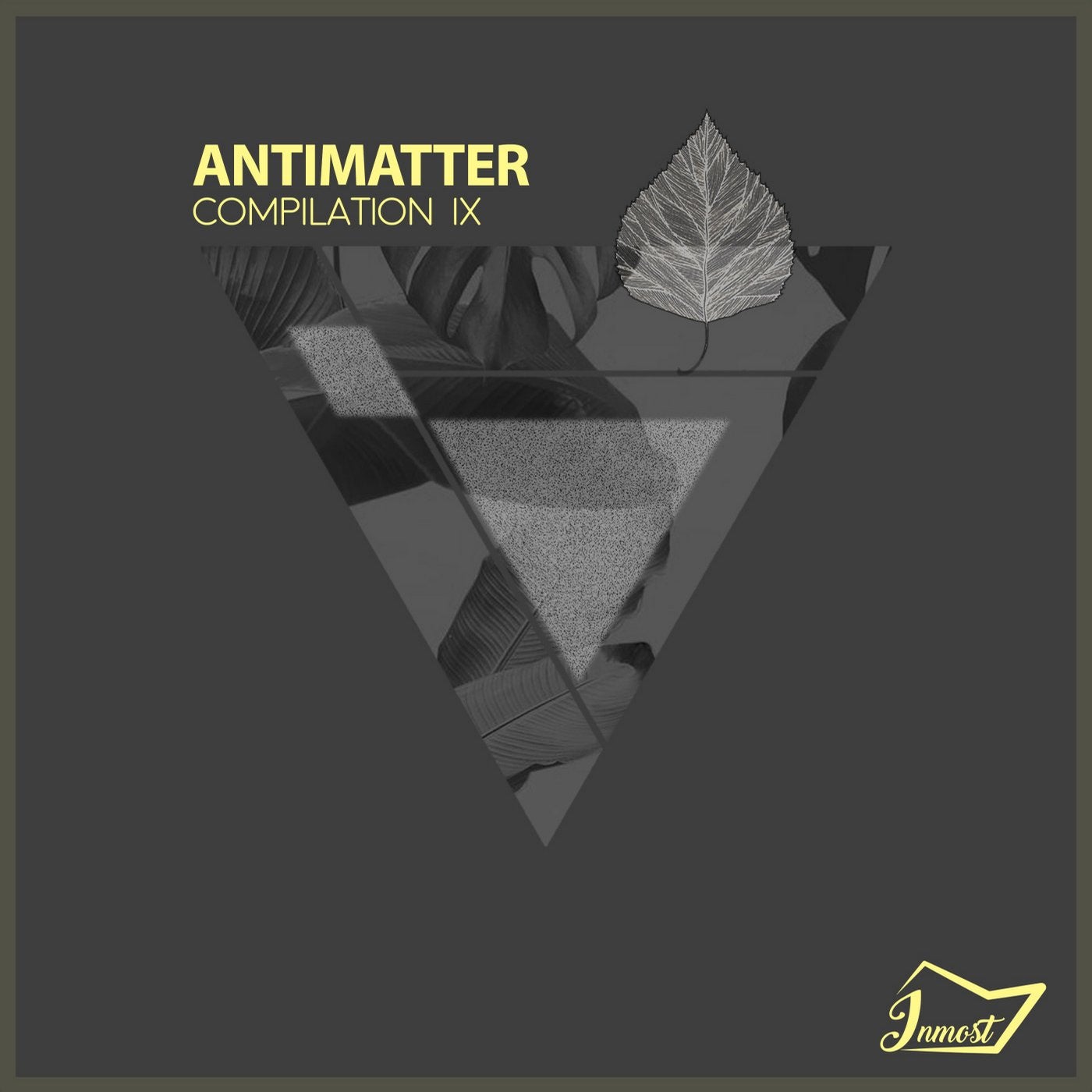 Antimatter IX