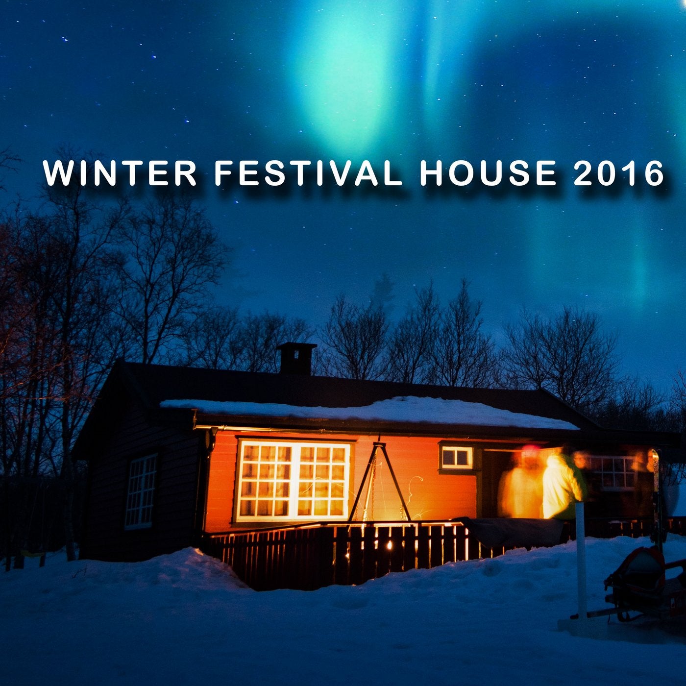 Winter Festival House 2016