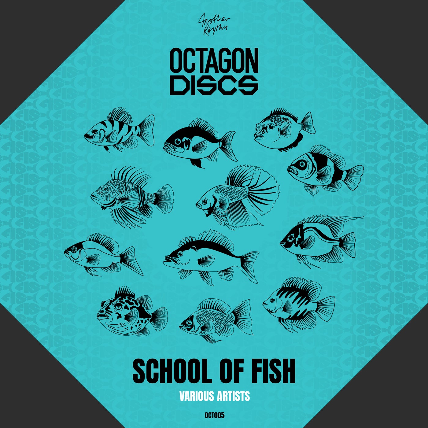 Cover art for School of Fish