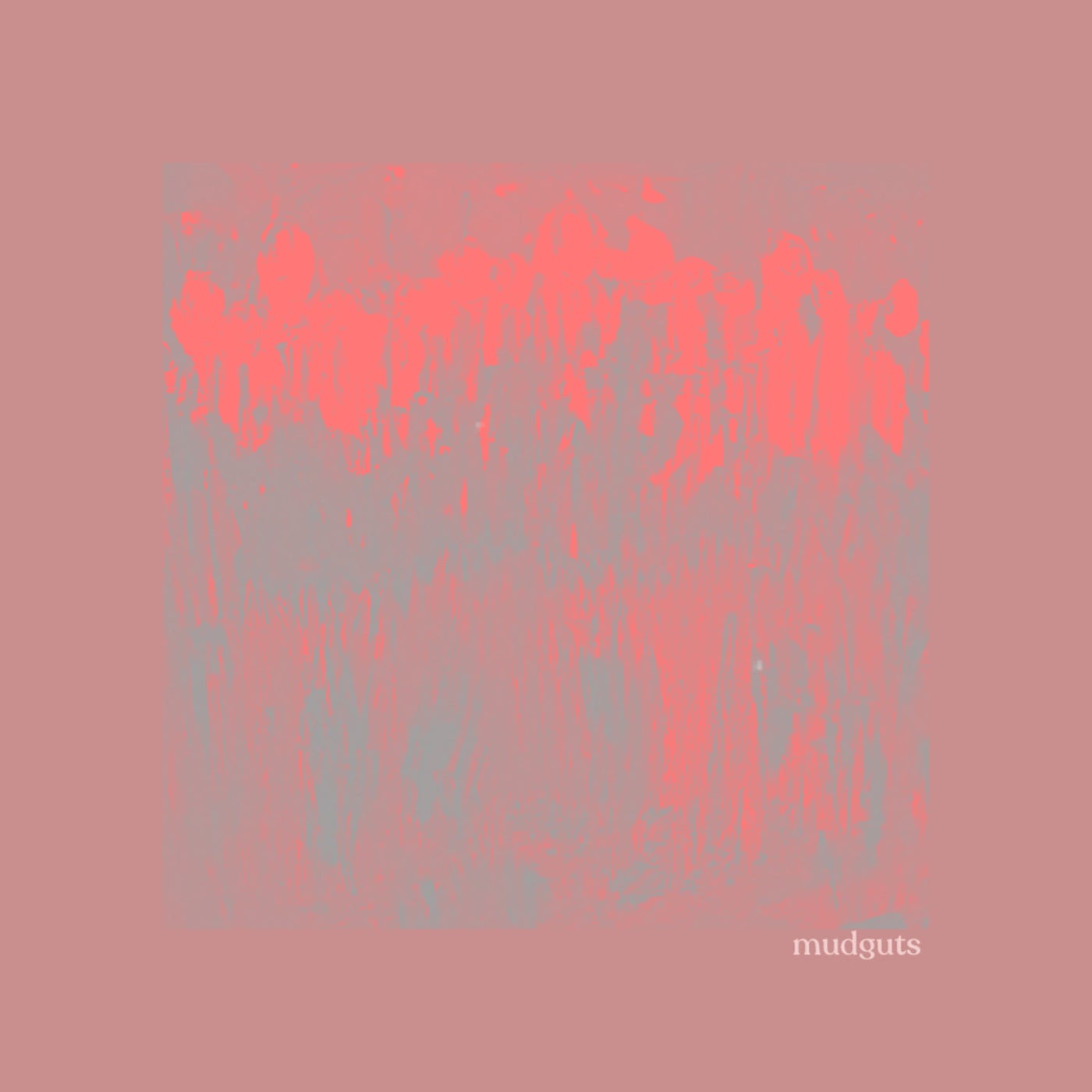 mudguts