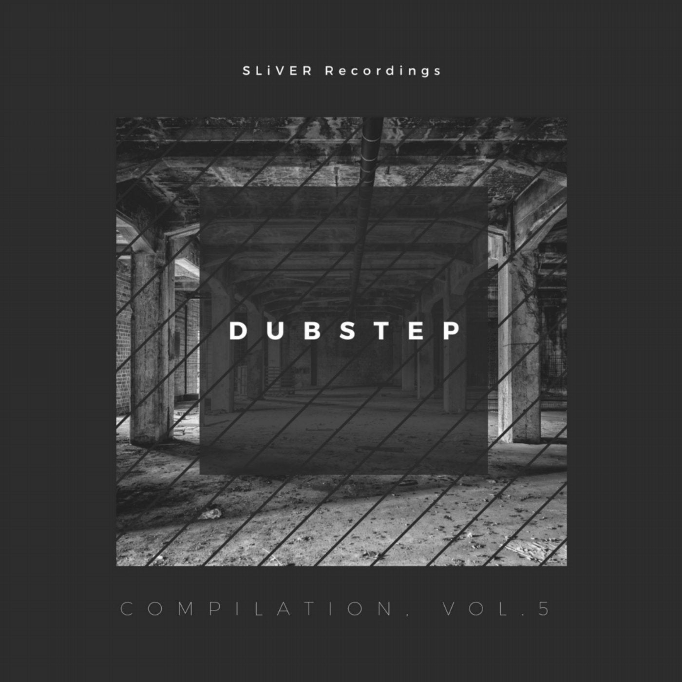 Sliver Recordings: Dubstep, Compilation, Vol. 5