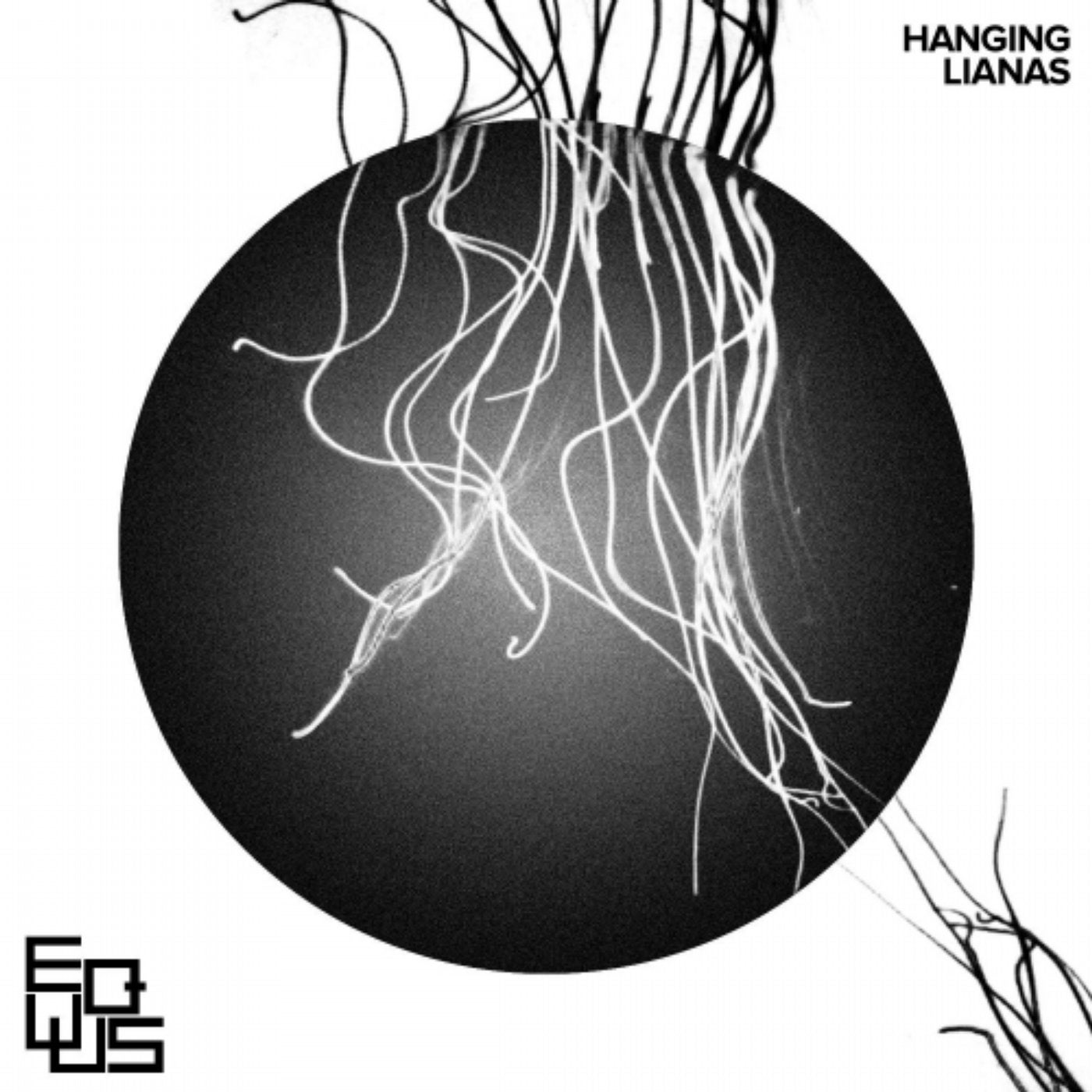 Hanging Lianas