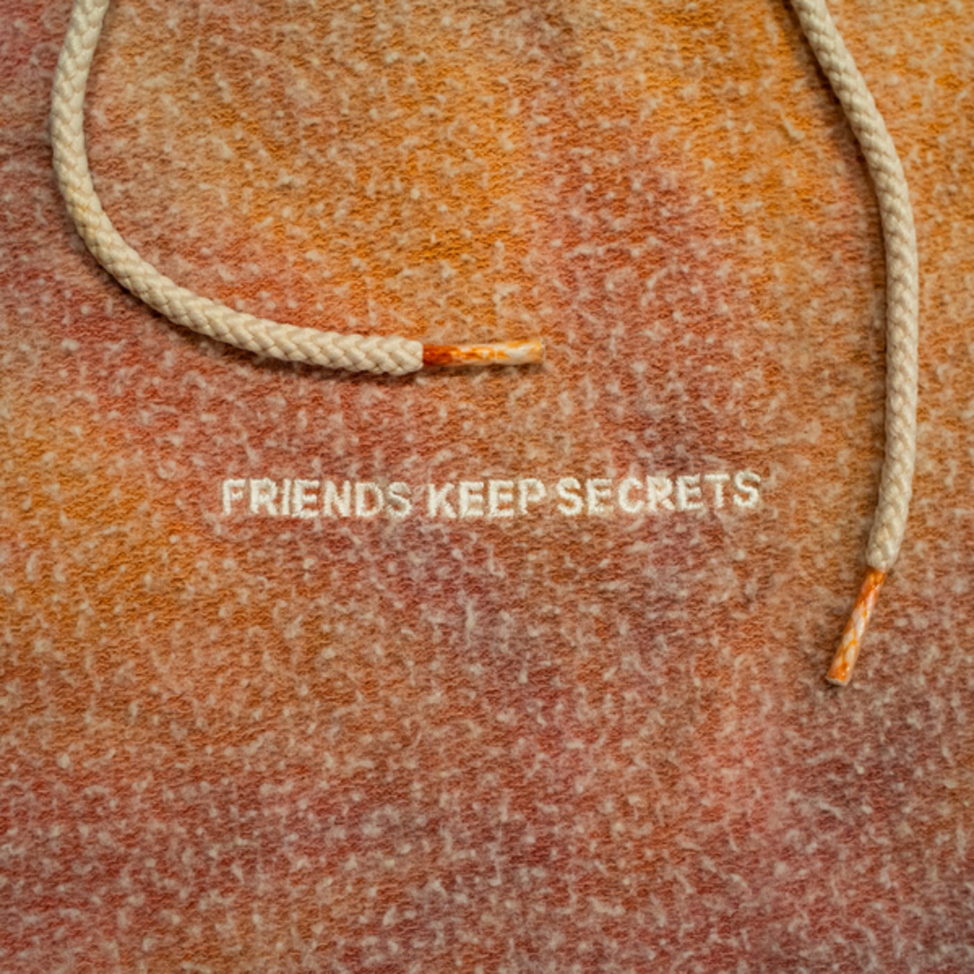 Cover art for FRIENDS KEEP SECRETS 2