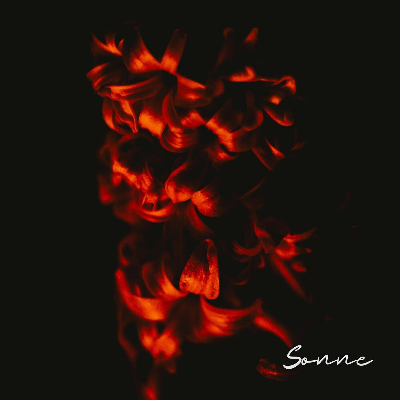 Sonne (Electronica)