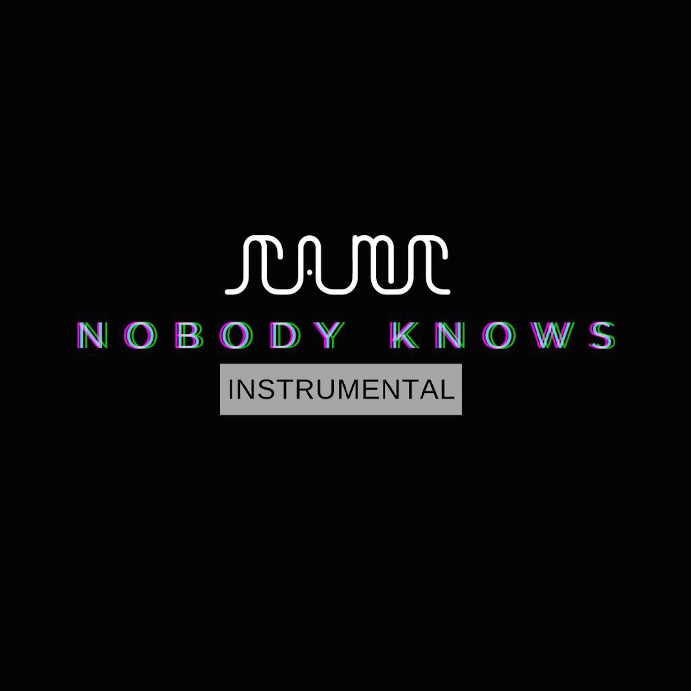 Nobody Knows (Instrumental)