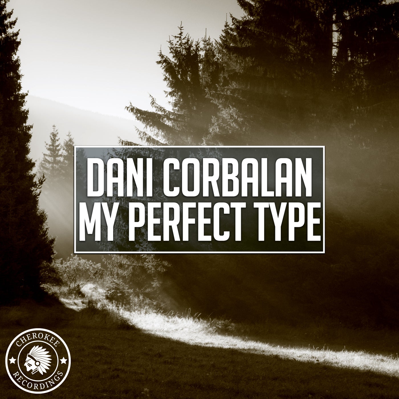 My Perfect Type