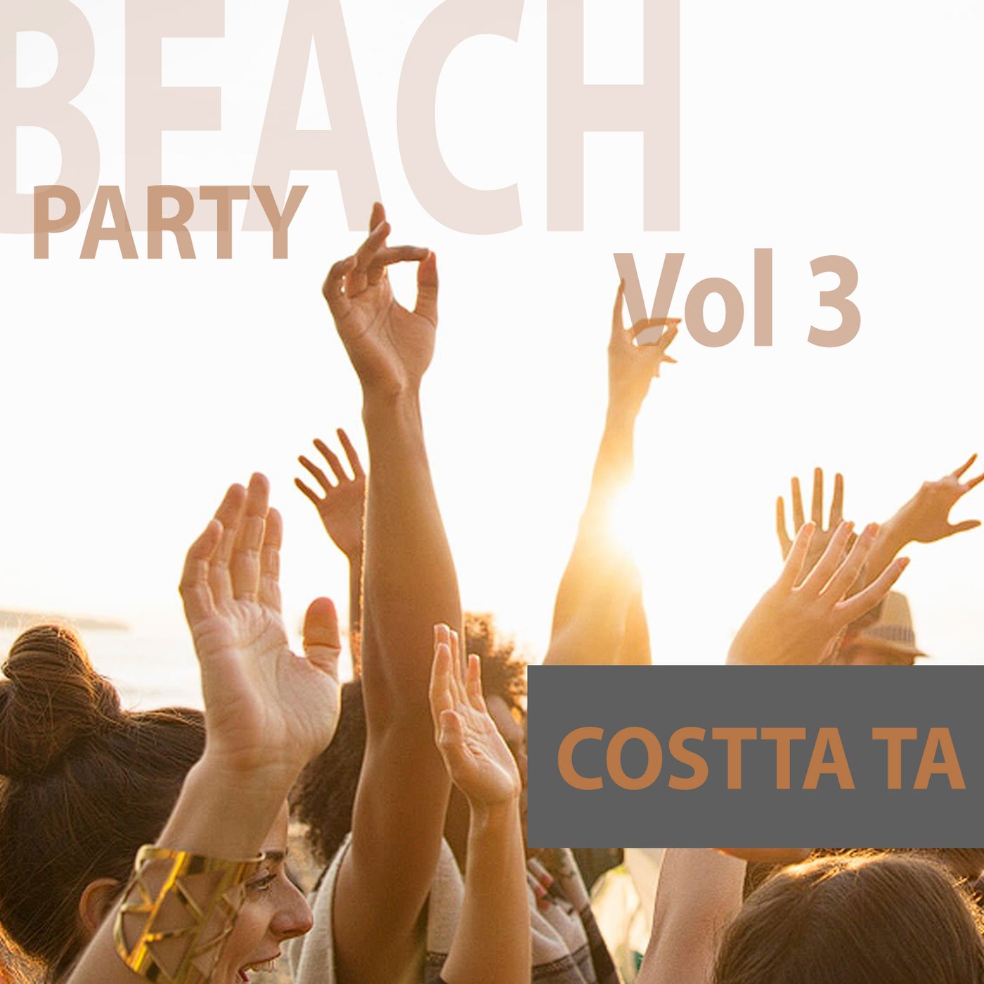 Beach Party, Vol. 3