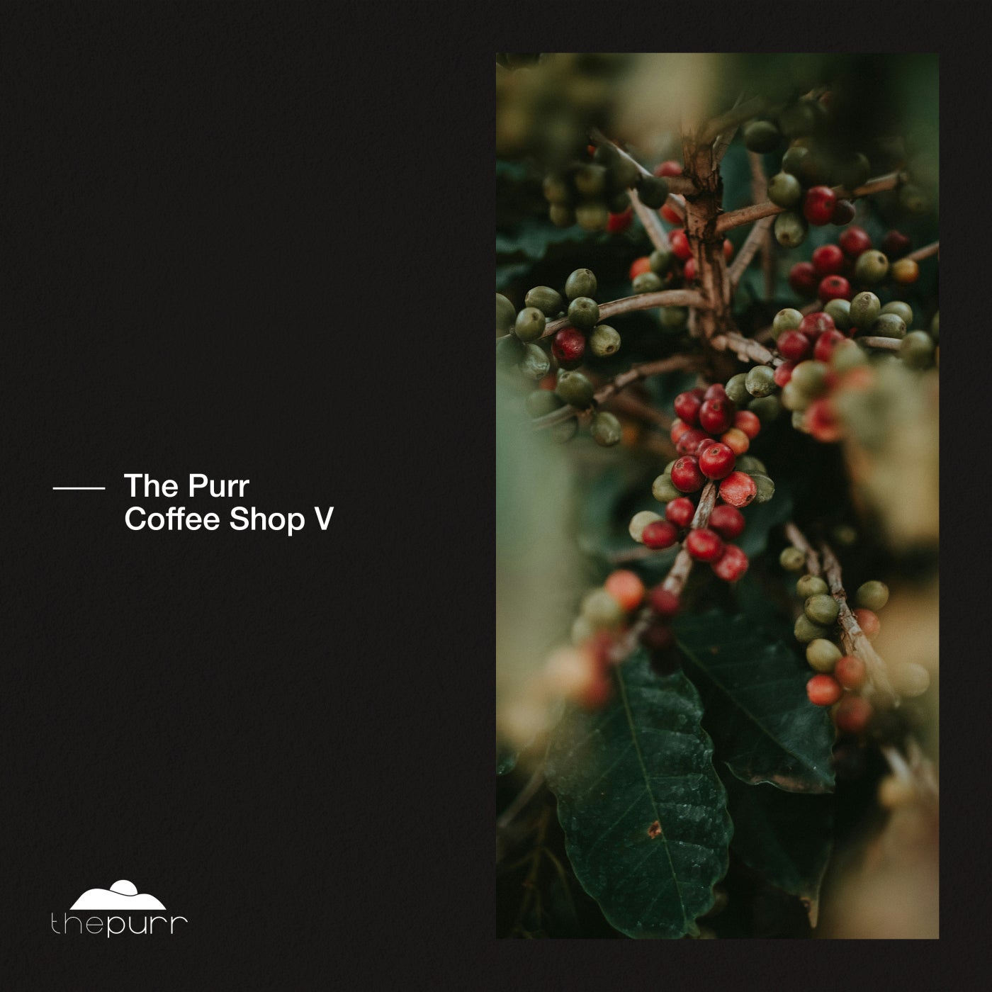 The Purr Coffee Shop V