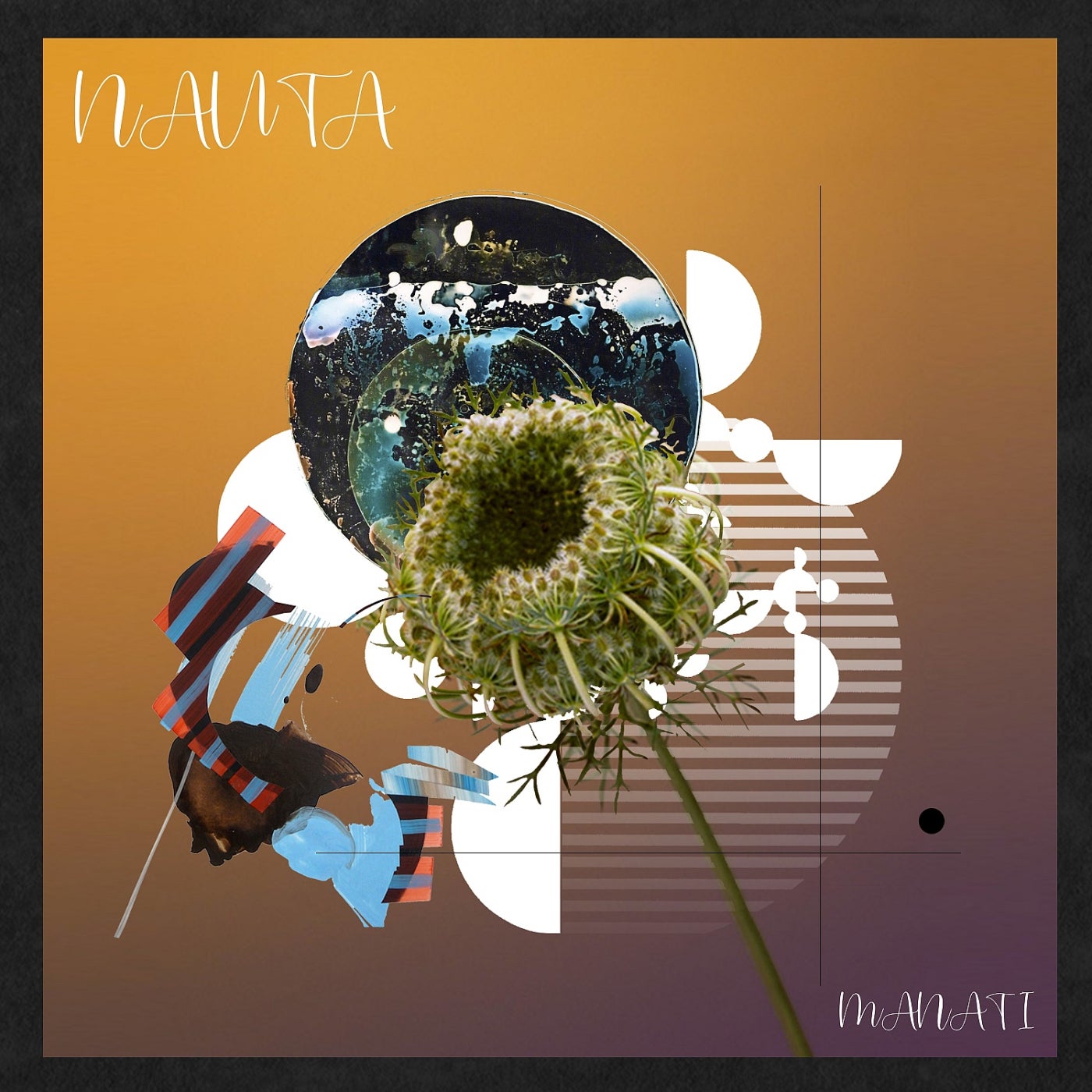 Nauta
