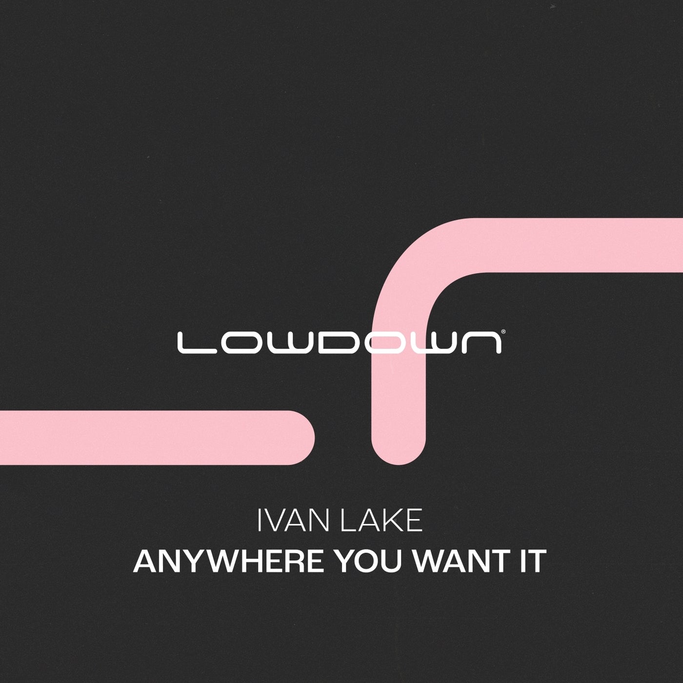 Anywhere You Want It (Extended Mix)