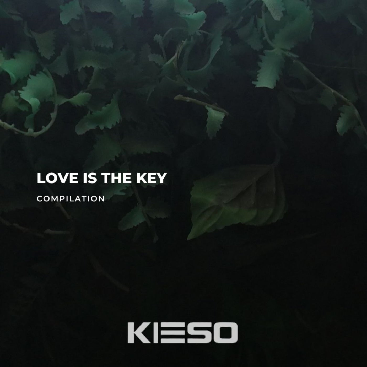 Love Is the Key