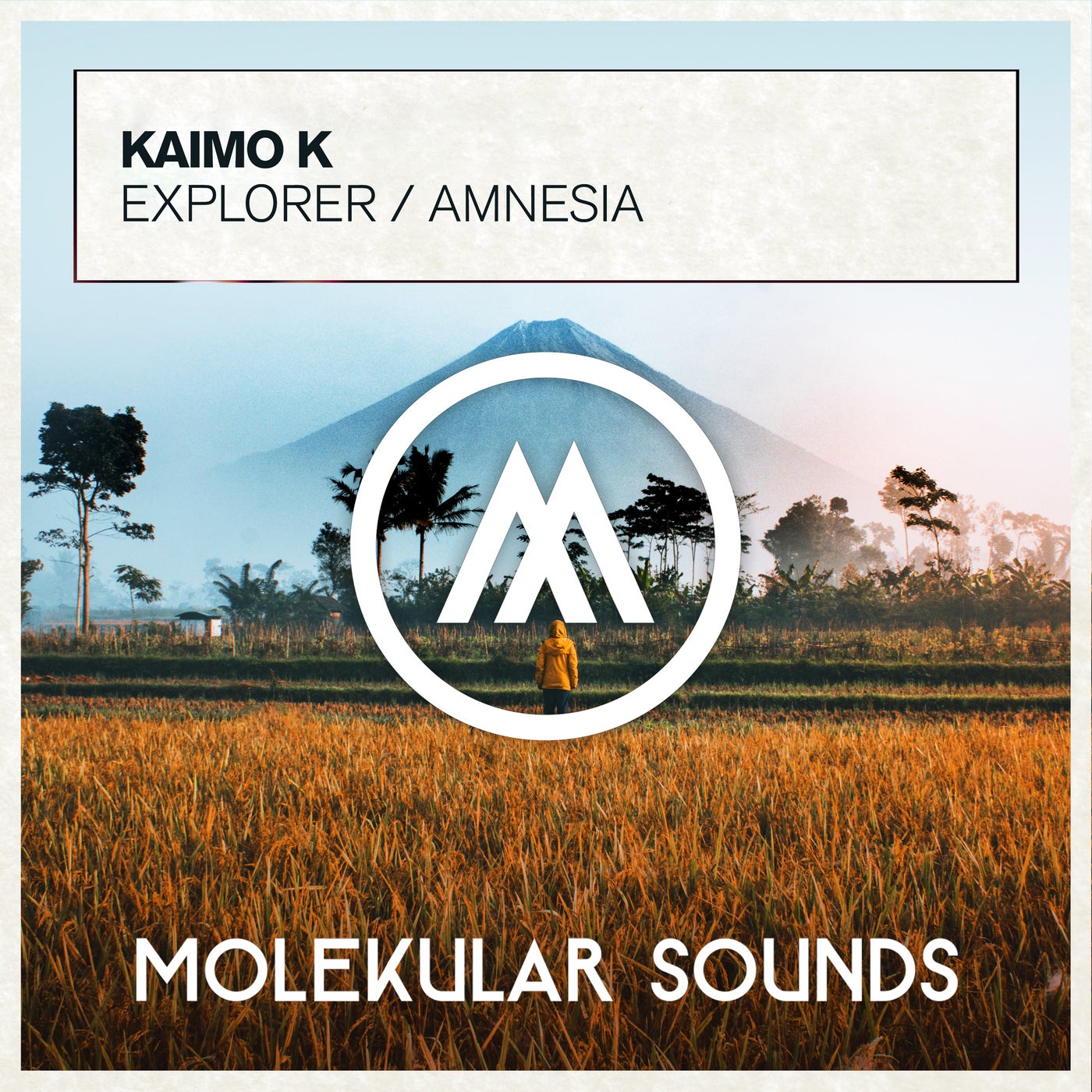 Explorer / Amnesia