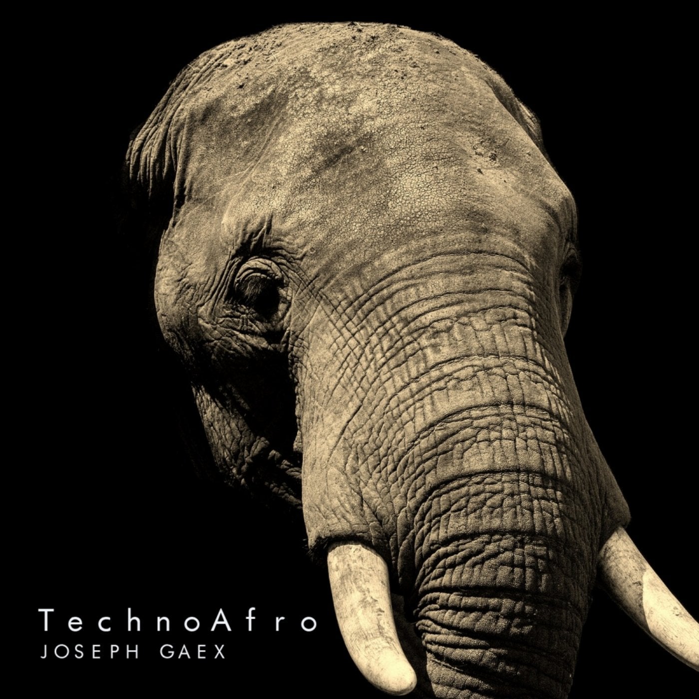 TechnoAfro